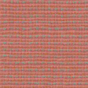 ATAP Apricot