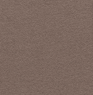 FTA Taupe